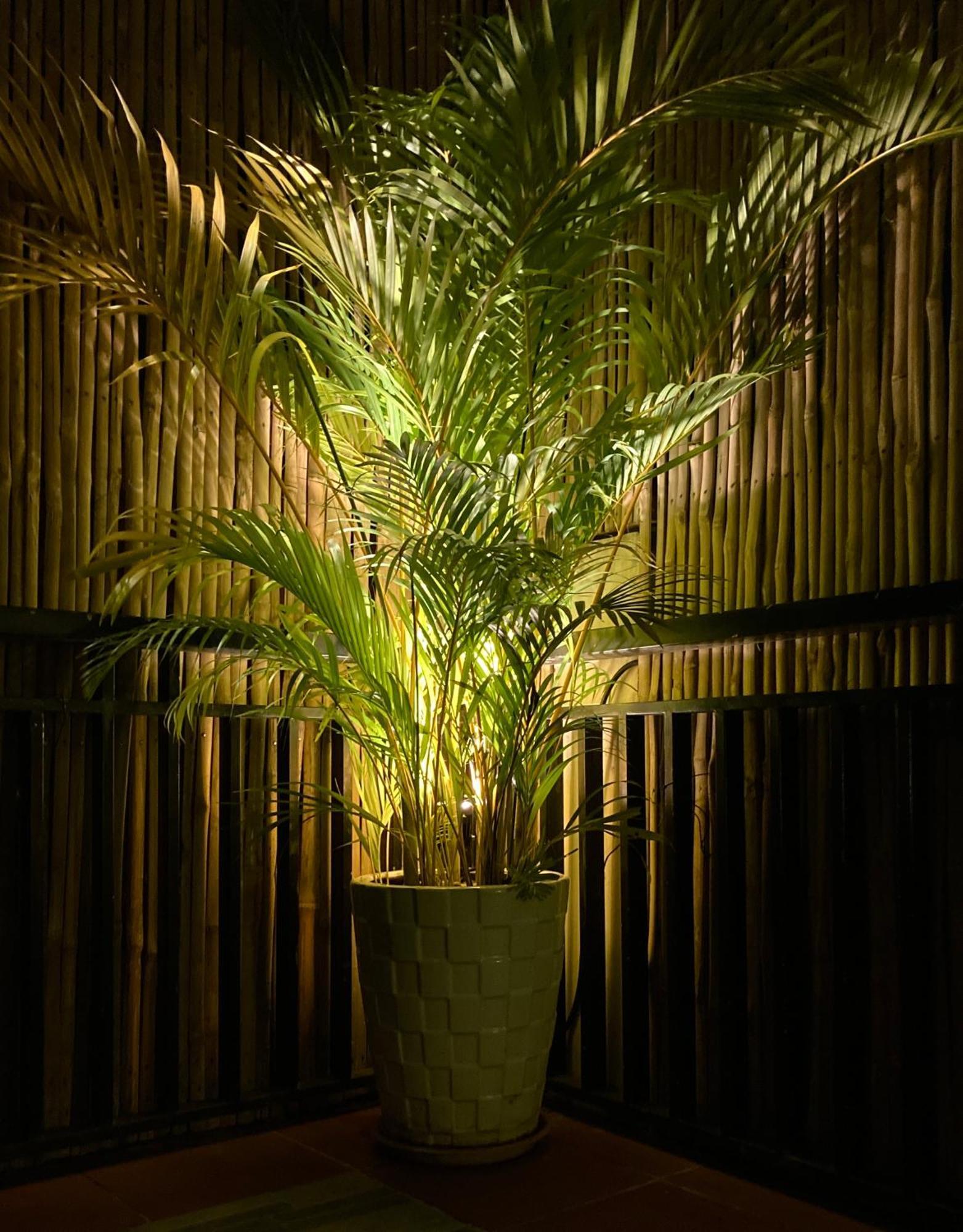 Lotus Haven Villa Sziemreap Kültér fotó