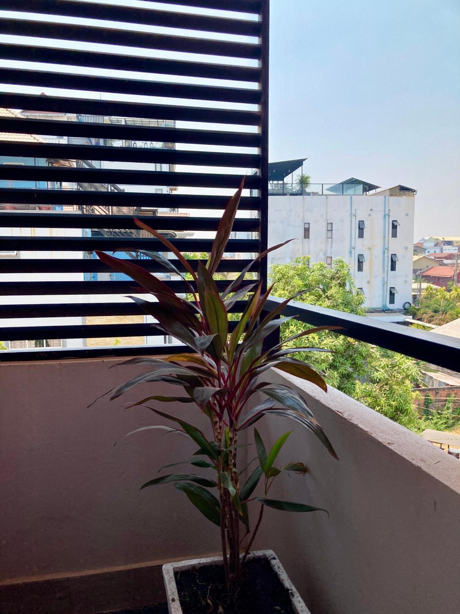 Lotus Haven Villa Sziemreap Kültér fotó